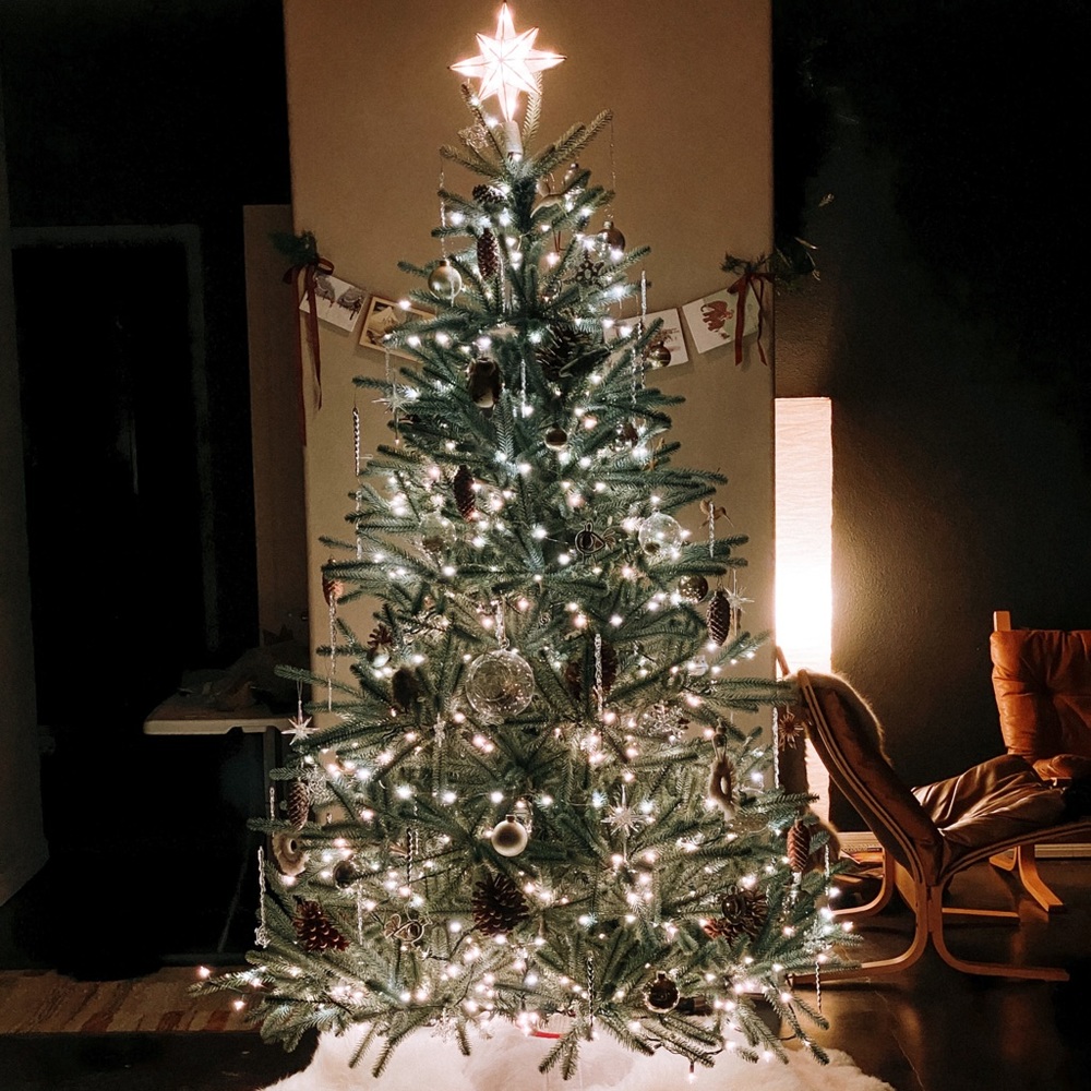Merry Christmas! 🎁